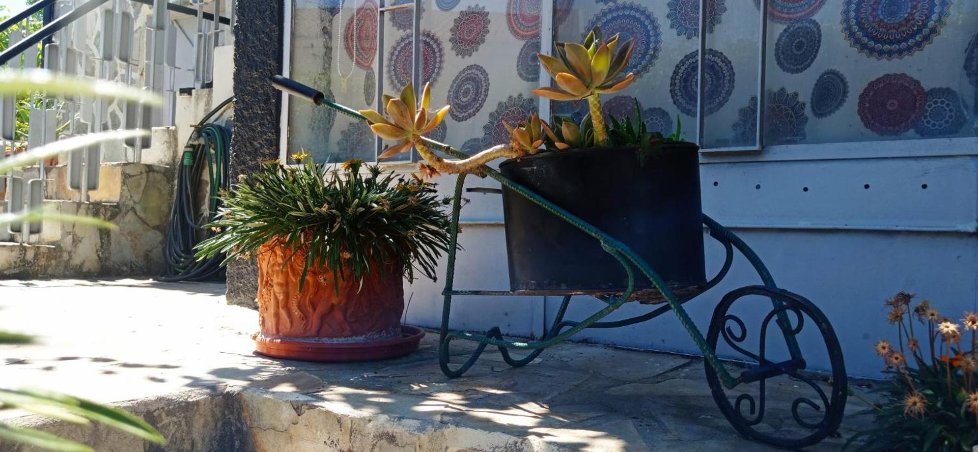 מירנדלה Alojamento Local Os Maias מראה חיצוני תמונה