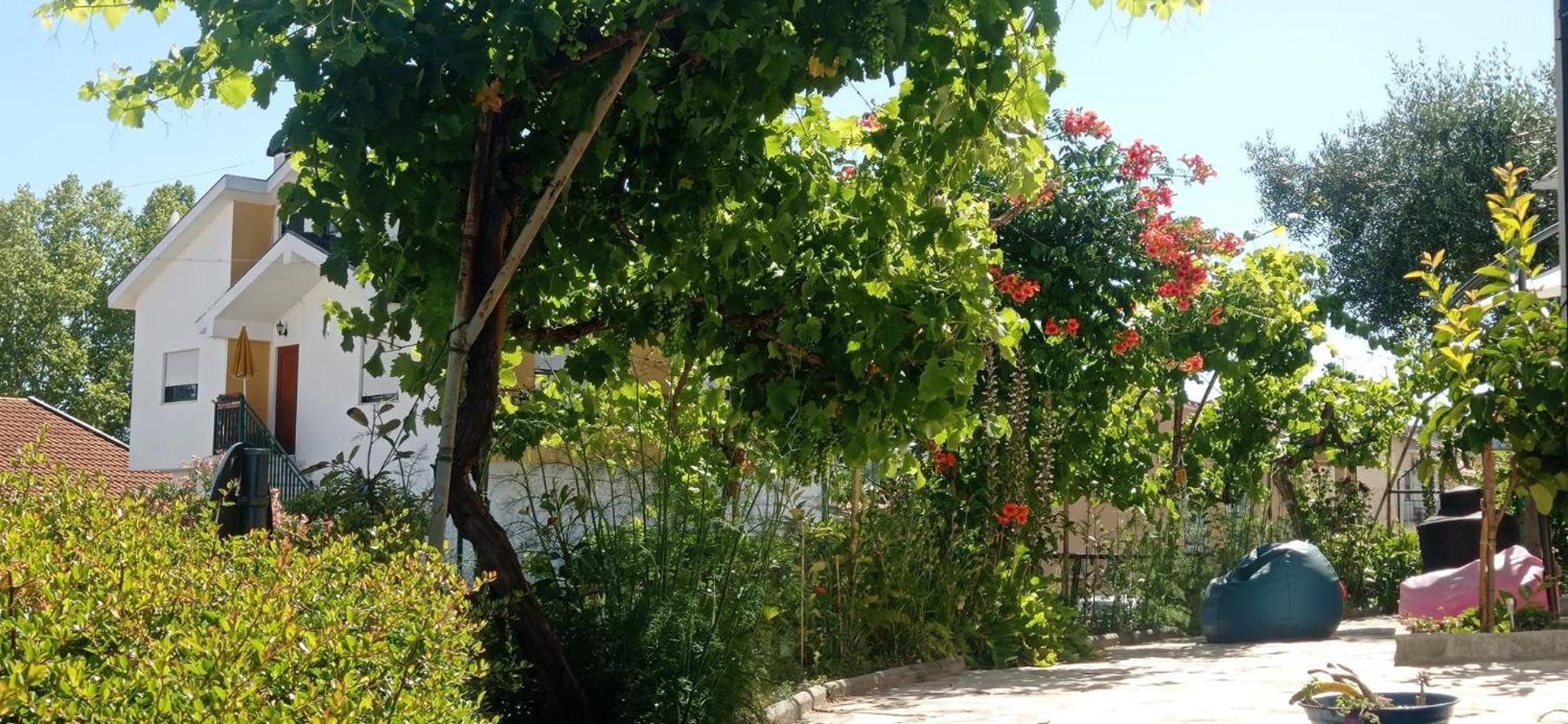 מירנדלה Alojamento Local Os Maias מראה חיצוני תמונה