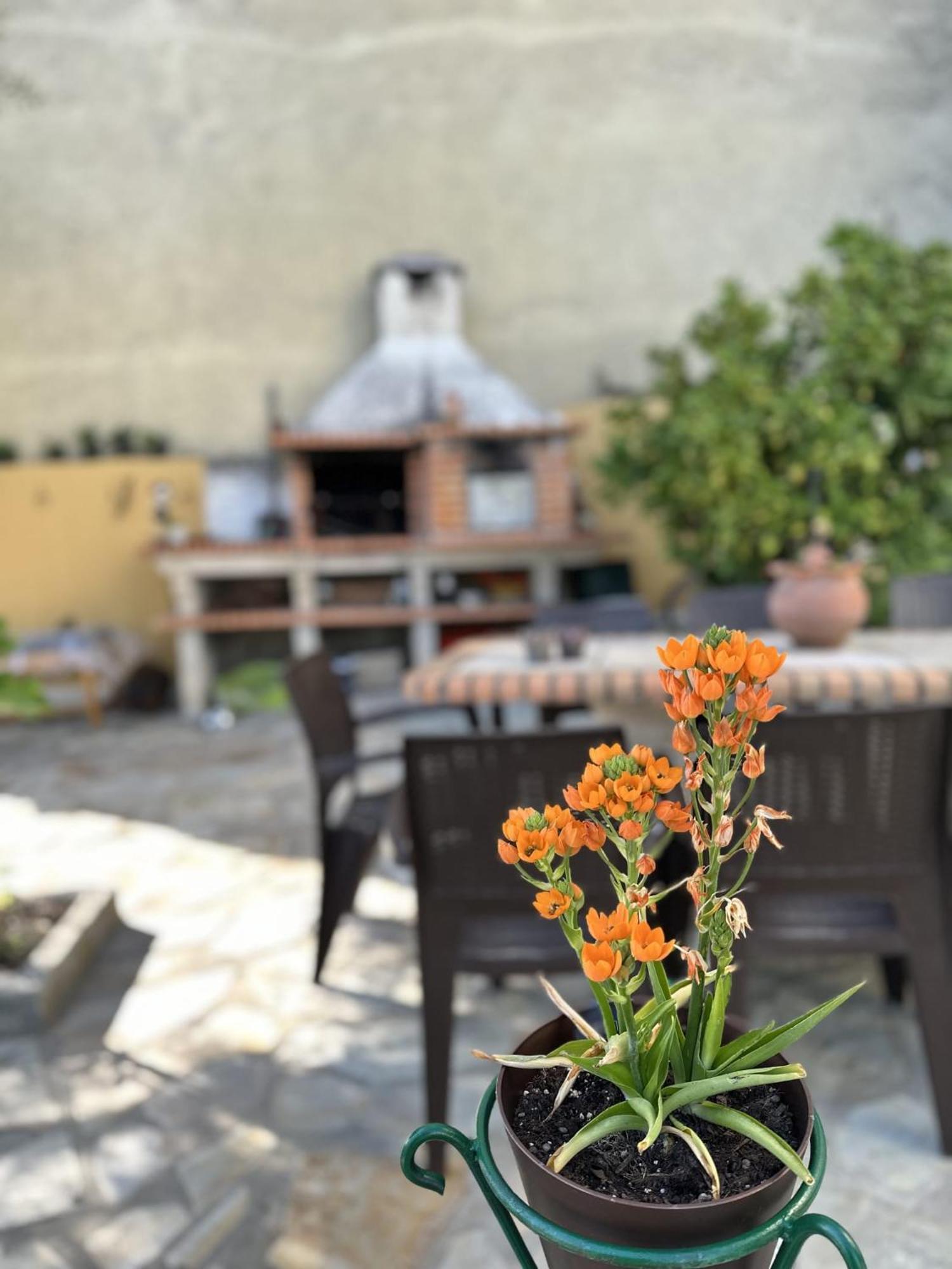 מירנדלה Alojamento Local Os Maias מראה חיצוני תמונה